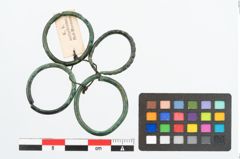 Foto von Bronzering (NHMW-PRAE-025947)